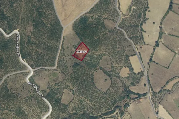 3.041 m2 0rmanda manzaralı tarla. Balıkesir Balya da.