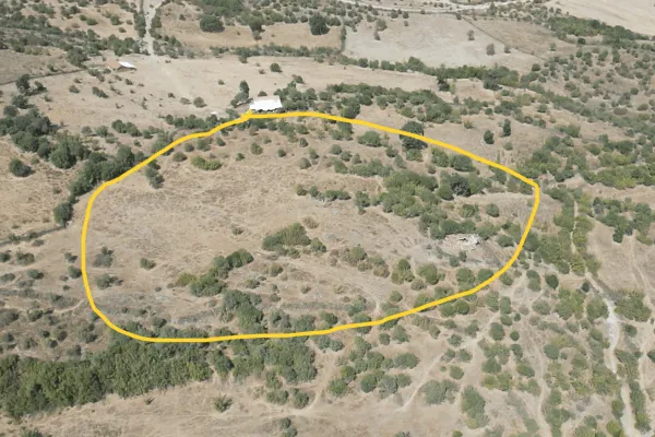 14.733 m2 mera içinde tarla. Balıkesir Balya Dereköy de 183 ada 272 parselde.