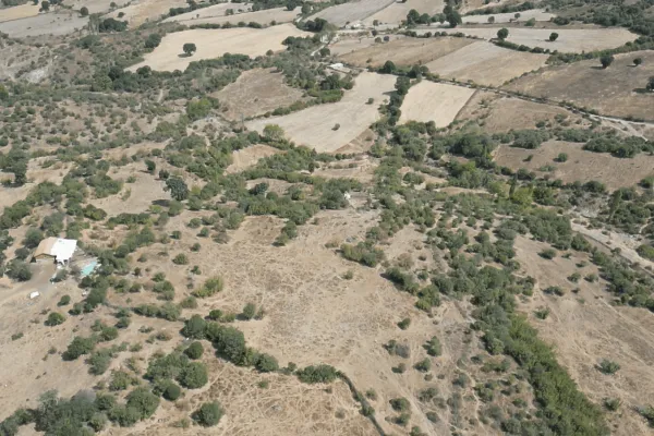 Fotoğraf 13