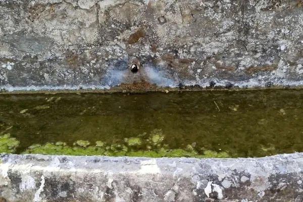 Fotoğraf 14