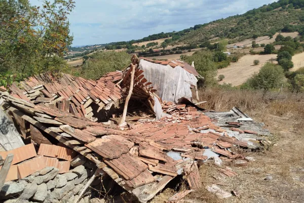 Fotoğraf 15