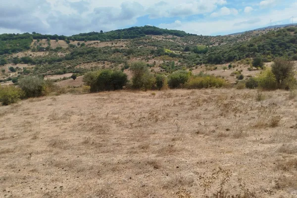 Fotoğraf 16