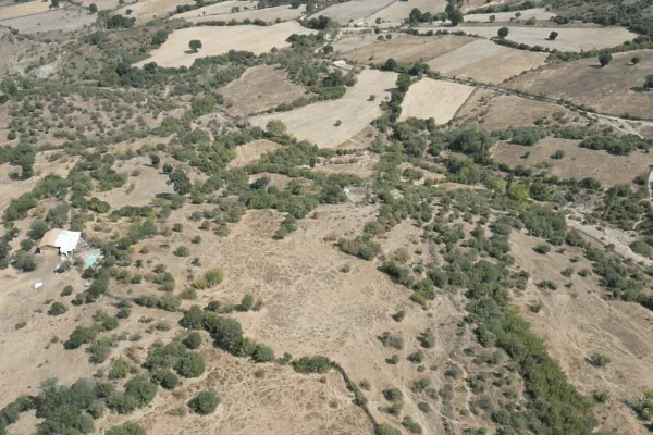 Fotoğraf 17
