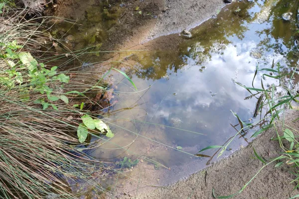 Fotoğraf 1