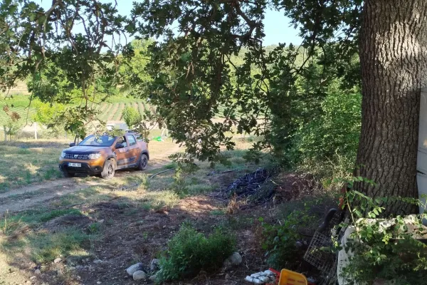 Fotoğraf 3