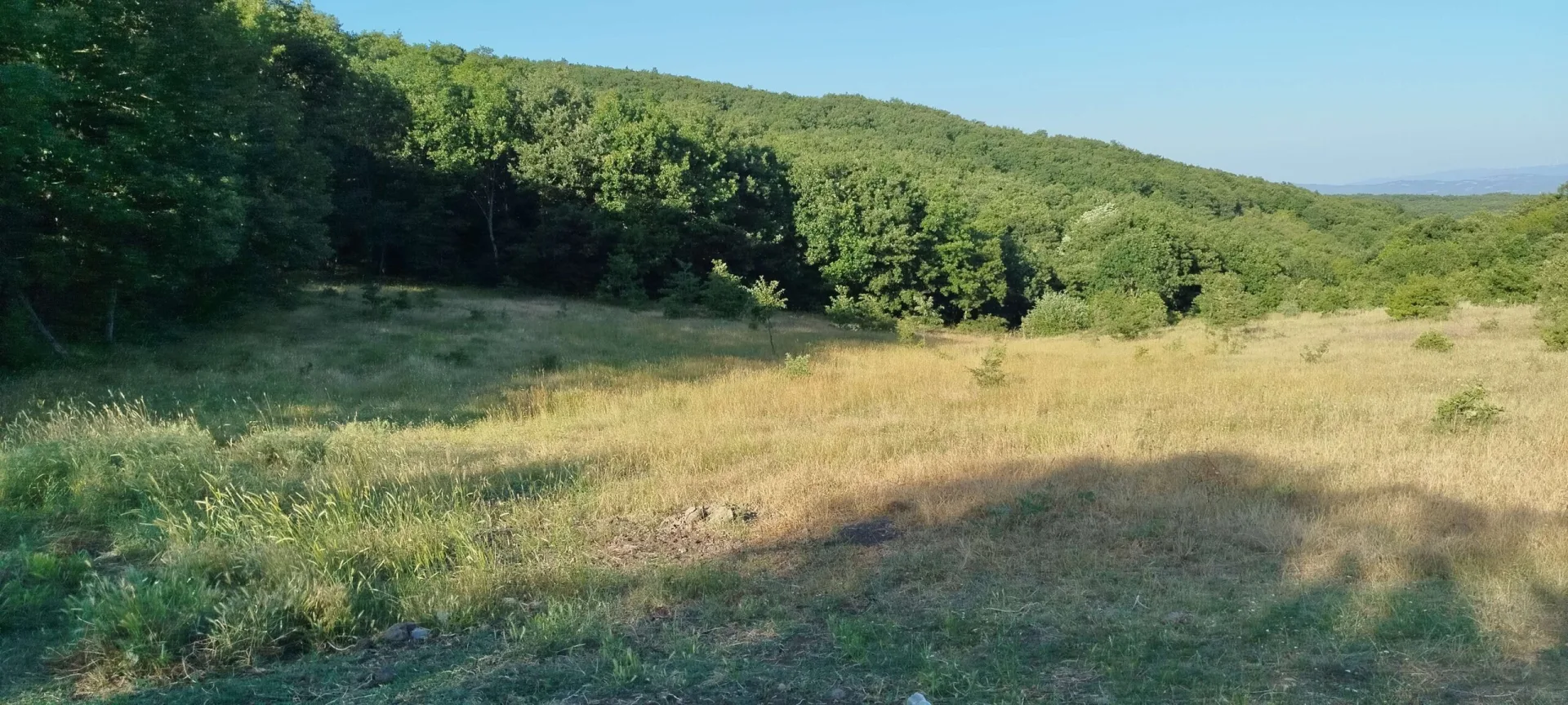Keşif Arazi 17.000 m2 Tarla Balıkesir Gönen Suçıktı 125-14-15