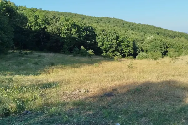 Fotoğraf 1