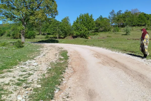 Fotoğraf 1