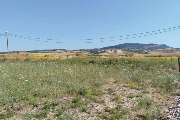 Keşif Arazi 290 m2 Kiralık Arsa Balıkesir Gönen Çifteçeşmeler 172-1 -13 parse