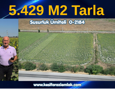Ekran görüntüsü 2026-08-13 094746
