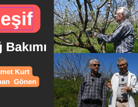 Keşif-BağBakımı-İsmetKurt